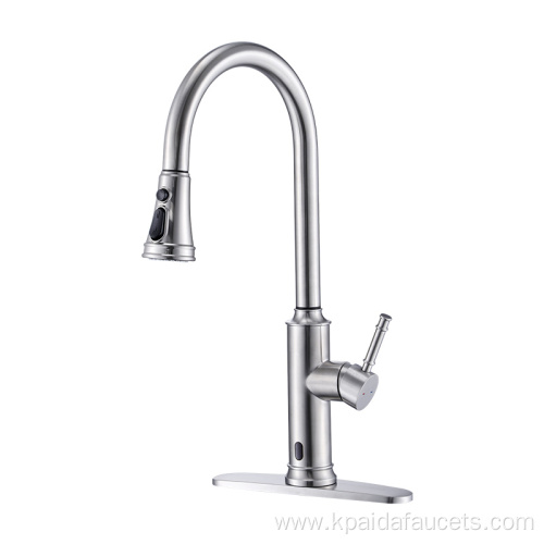 Brush Nickel Chrome Flexible Kitchen Faucet